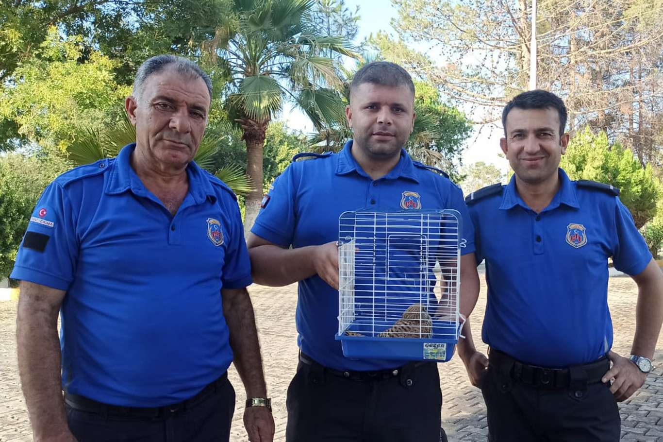 Yaralı Kerkenez kuşu tedavi altına alındı Yaralı Kerkenez kuşu tedavi altına alındı
